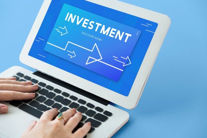 How Do Investors Choose Stable Investment Options for Long-Term Growth